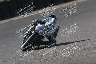 media/Oct-12-2025-CRA (Sun) [[e621380112]]/Races/Race 12/